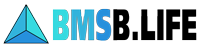BMSB.Life